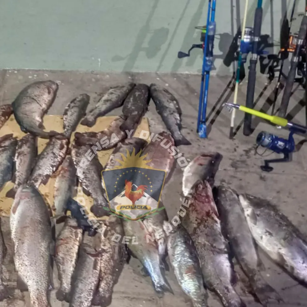 San Martín de los Andes: Decomisan más de 70 truchas y equipos de pesca