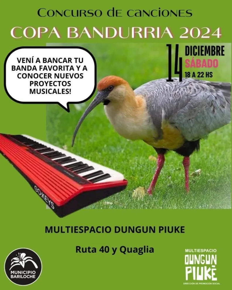 Invitan a conocer a los finalistas de la primera edición de la Copa Bandurria