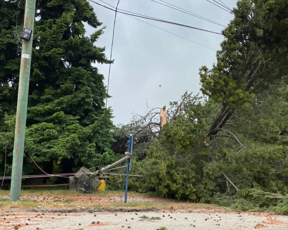 Tras el fuerte temporal las cuadrillas restituyen el servicio eléctrico en distintos barrios
