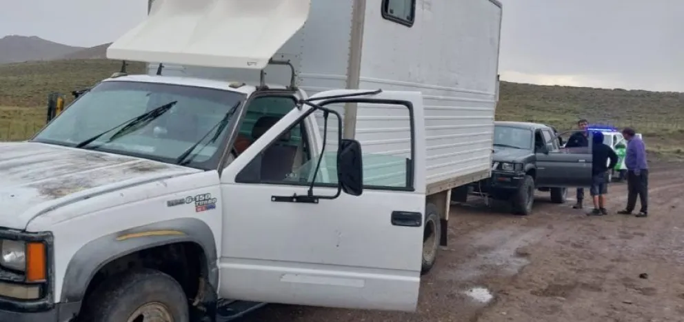 La Brigada Rural secuestró nuevamente gran cantidad de animales en pie