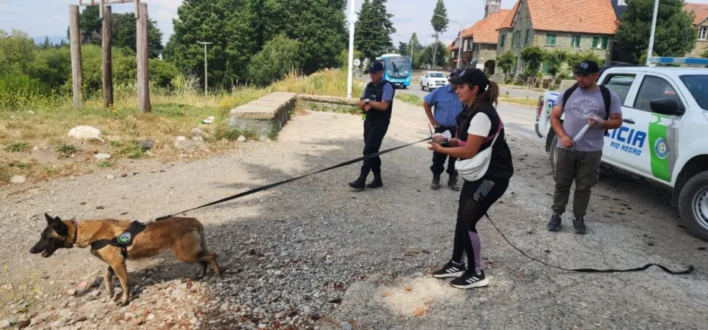 Realizan rastrillajes para ubicar al hombre de 84 años que desapareció ayer