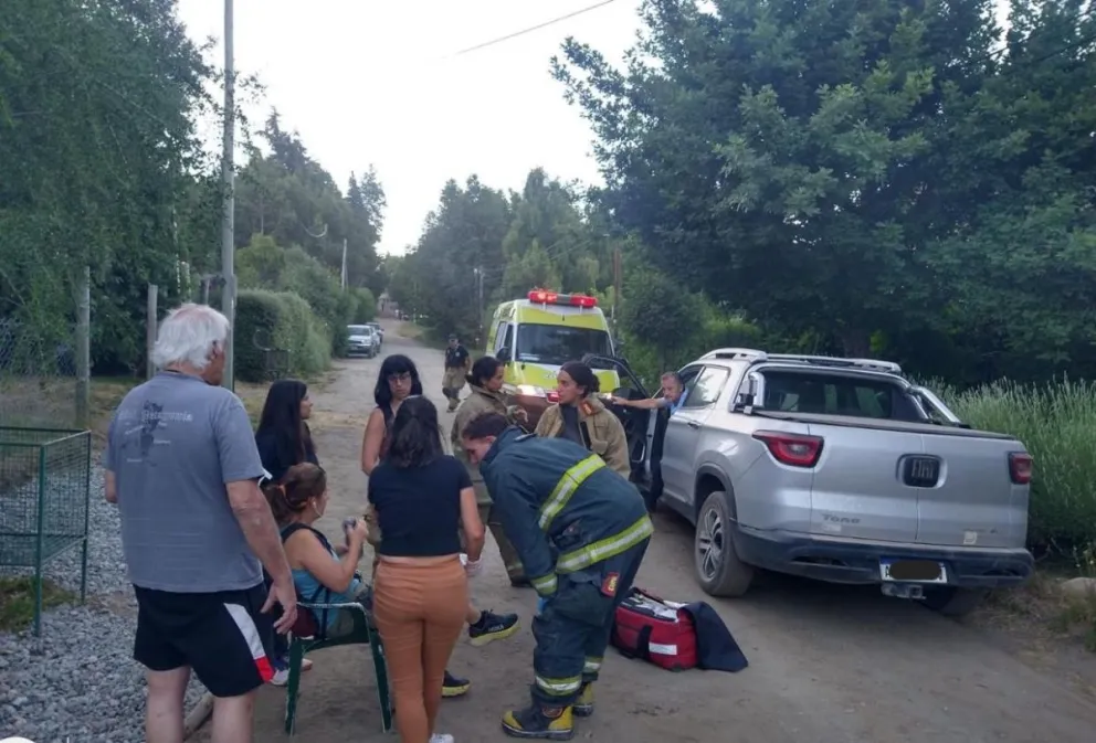 Ataque de perros: una problemática que tiene solución