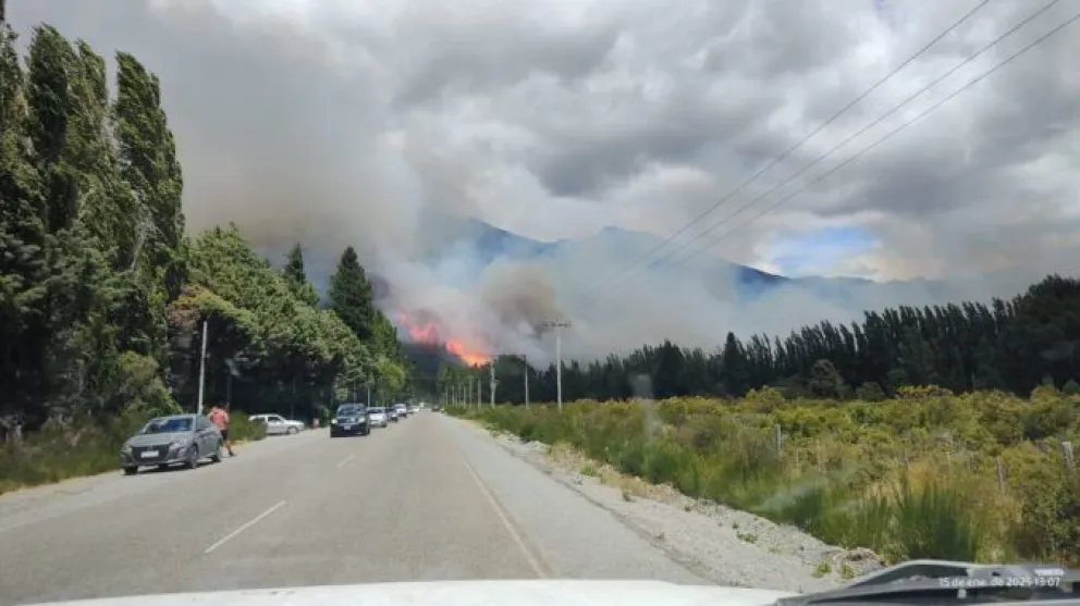 Epuyén: tránsito habilitado con precaución y asistencia veterinaria para animales afectados
