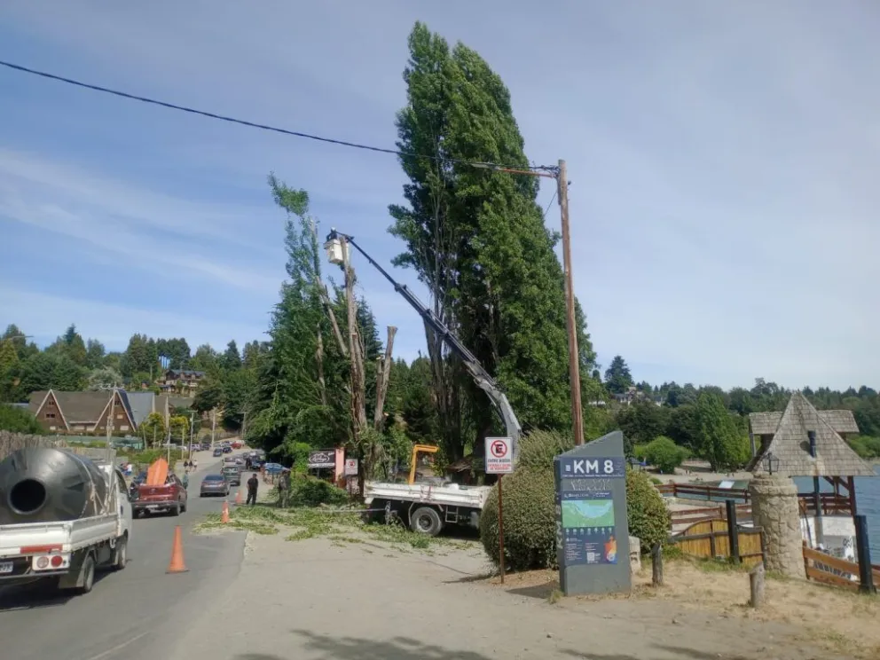 Precaución por trabajos de apeo en el Km 8 de Av. Bustillo
