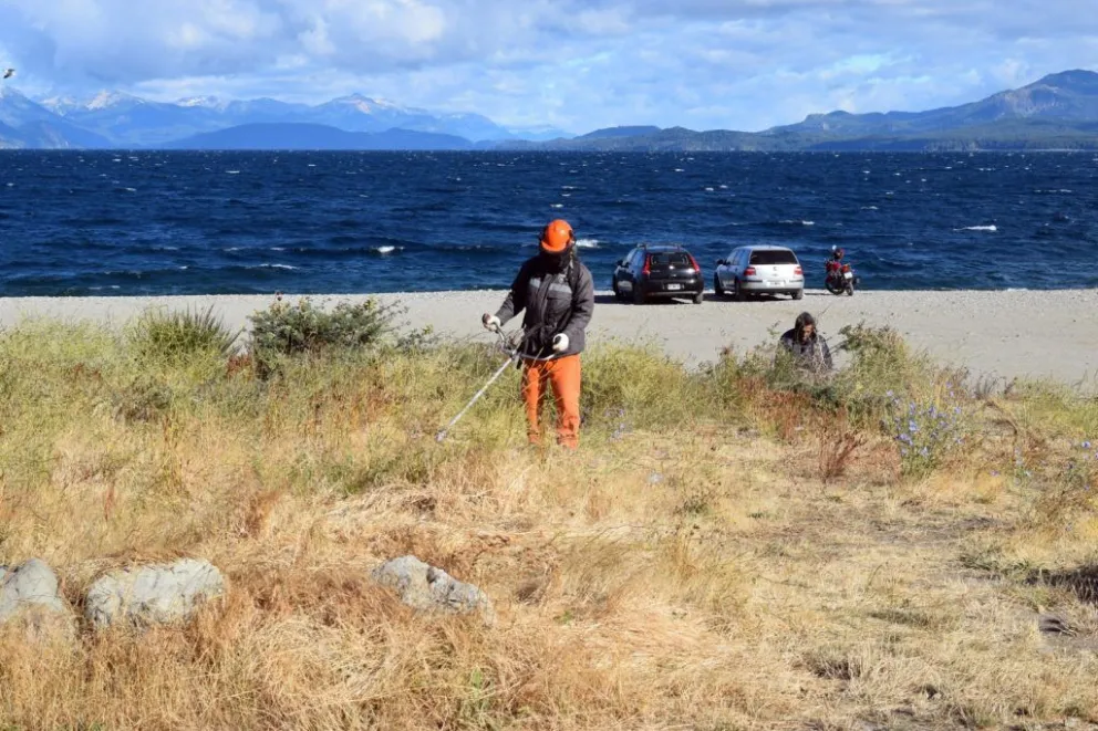 Bariloche avanza en la limpieza y embellecimiento de la costa del Lago Nahuel Huapi