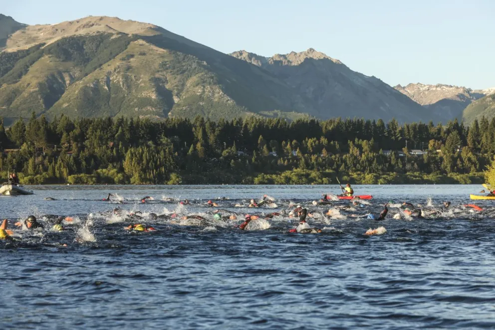 Imagen de archivo - Gentileza