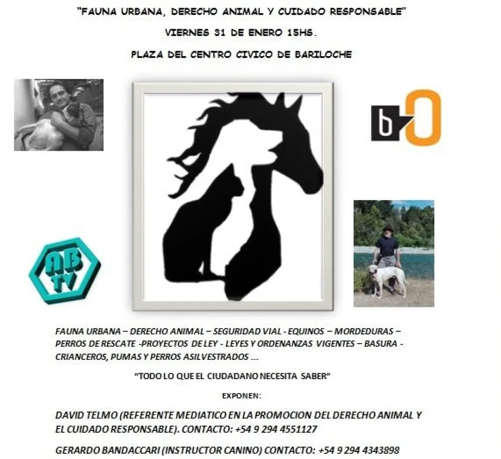 Charla abierta sobre fauna urbana, derecho animal y cuidado responsable