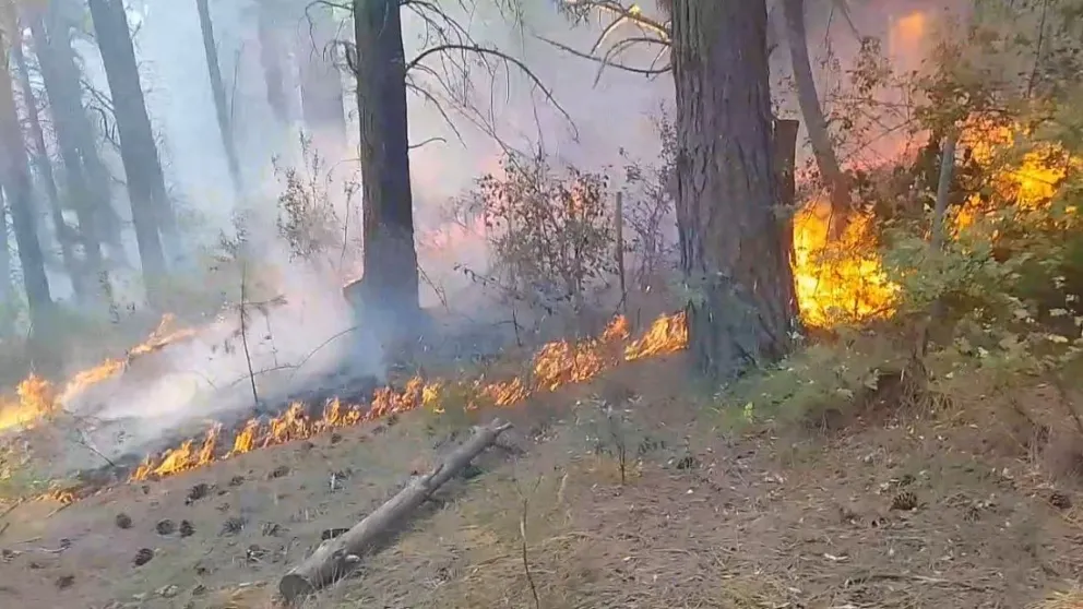 Incendio: Confirmaron la muerte de un vecino de Mallín Ahogado