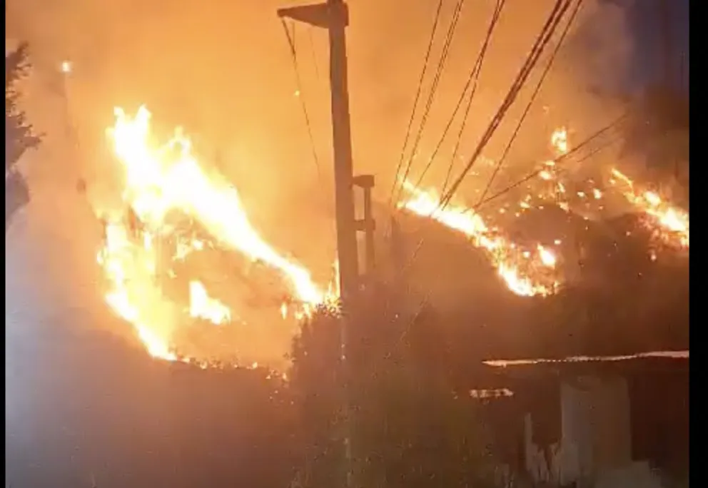Impresionante incendio forestal en la barda del Ñireco: Dos casas fueron alcanzadas