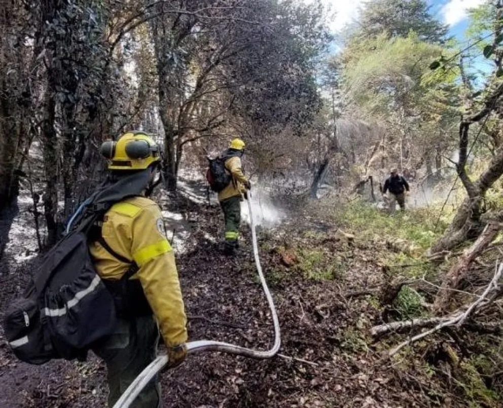 Incendio en Los Manzanos: actualización sobre la situación y operativos