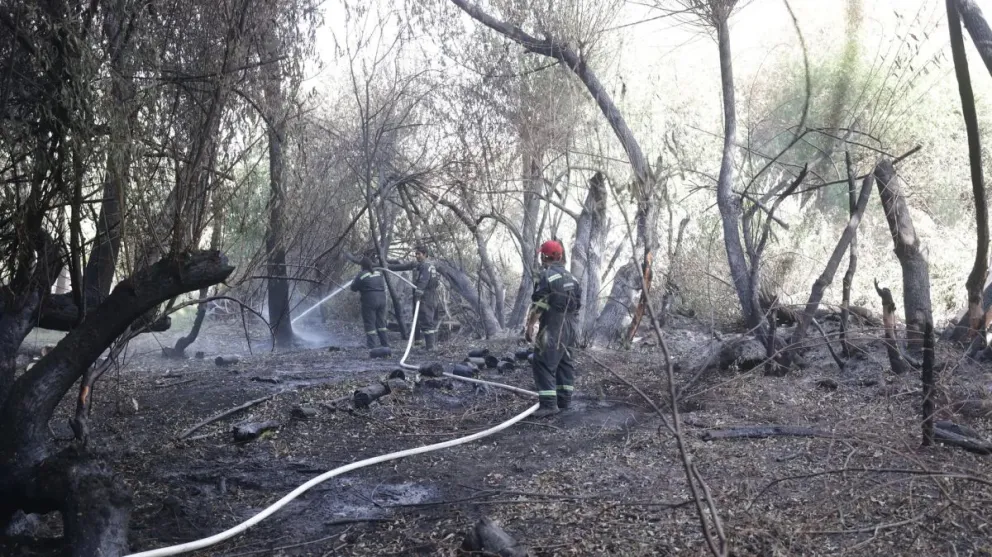 El Bolsón: La batalla contra el fuego continúa en terrenos de difícil acceso y alto riesgo