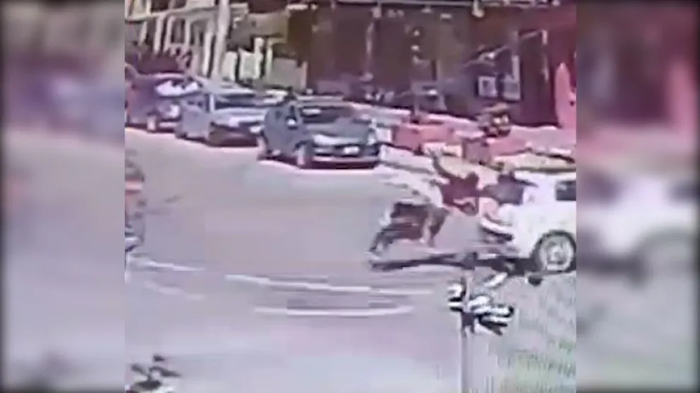 Motociclista ignoró una señal de tránsito y chocó contra un auto en Elordi y Fagnano