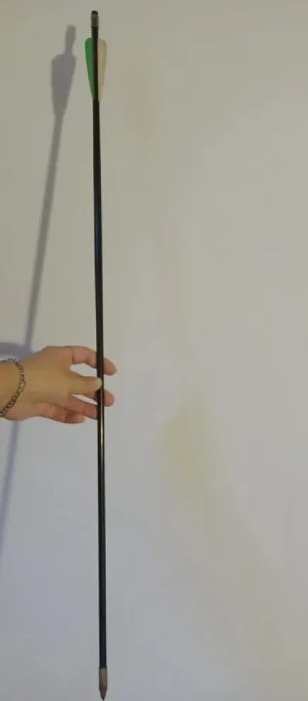 Alarma en Neuquén: denuncian que un vecino le tira flechas a los niños