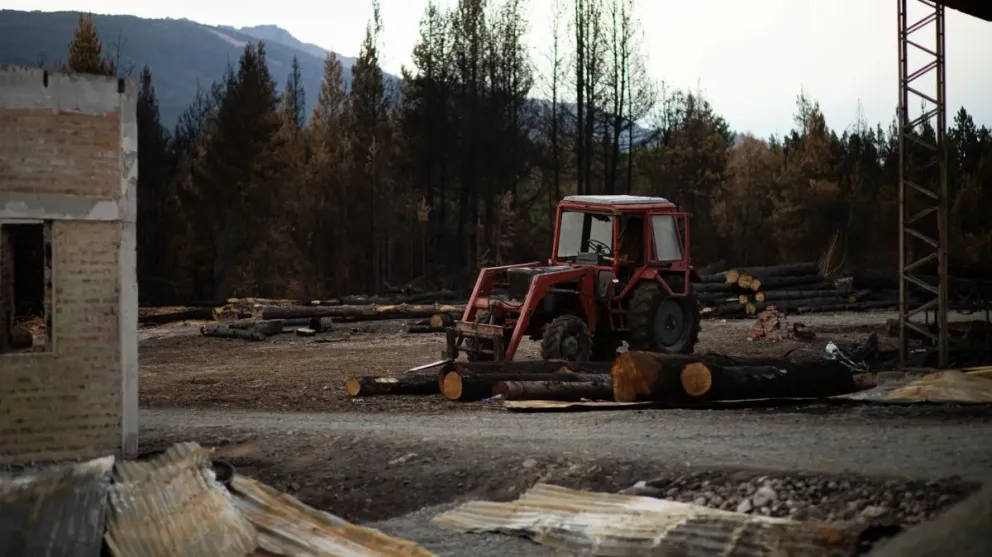 Recuperación económica post-incendios: Financiamiento para emprendedores de El Bolsón