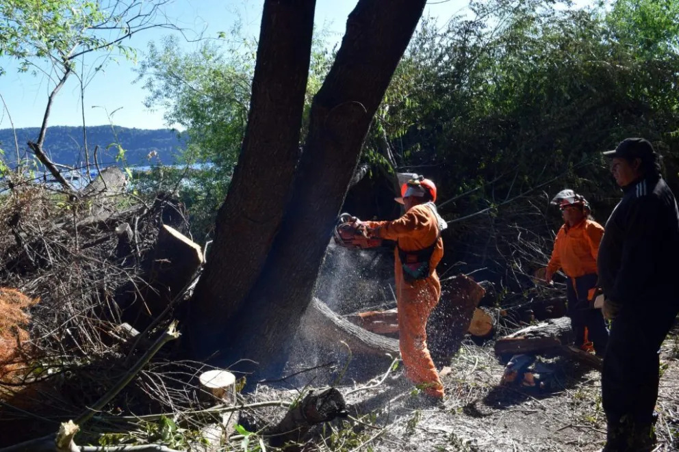 Delegación Lago Moreno recupera la bajada a la playa en el Km 14