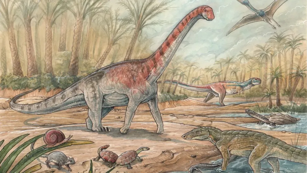 Descubren una fauna de 75 millones de años en Río Negro