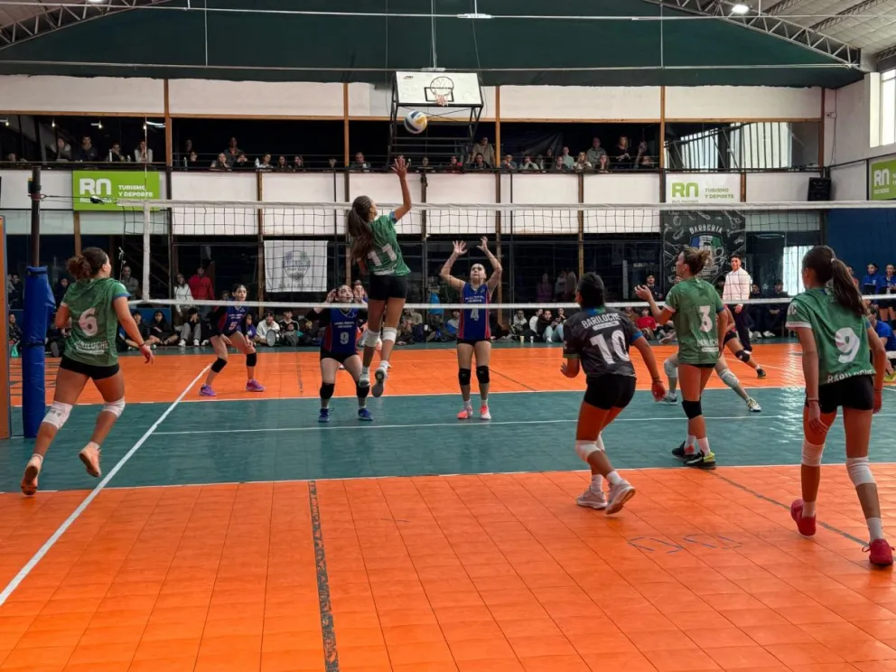 Clasificatorio de vóley: “Se ve reflejado el trabajo de las inferiores” dijo Maximiliano Iglesias