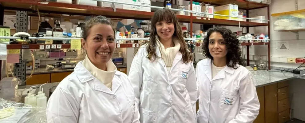 Científicas argentinas desarrollaron un apósito inteligente que acelera la cicatrización