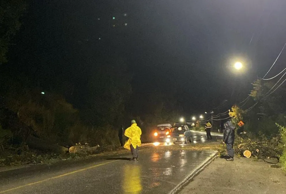 Tras la caída de un árbol, fue liberada la circulación en Avenida Bustillo a la altura del kilómetro 12
