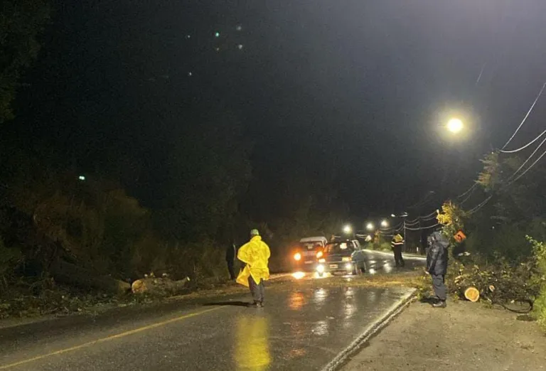 Tras la caída de un árbol, fue liberada la circulación en Avenida Bustillo a la altura del kilómetro 12 Tras la caída de un árbol, fue liberada la circulación en Avenida Bustillo a la altura del kilómetro 12