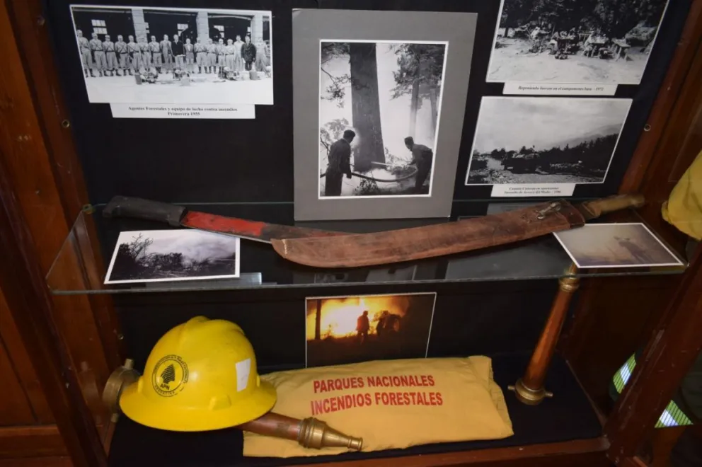 El Parque Nacional Nahuel Huapi inicia un ciclo de exposiciones temporarias