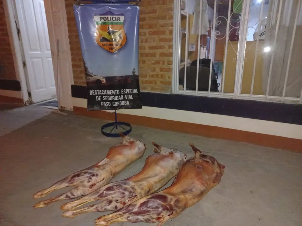 Decomisaron 50 kilos de carne ovina por traslado irregular en Paso Córdova