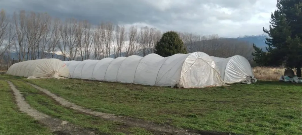 Bariloche y El Bolsón avanzan en un corredor productivo regional