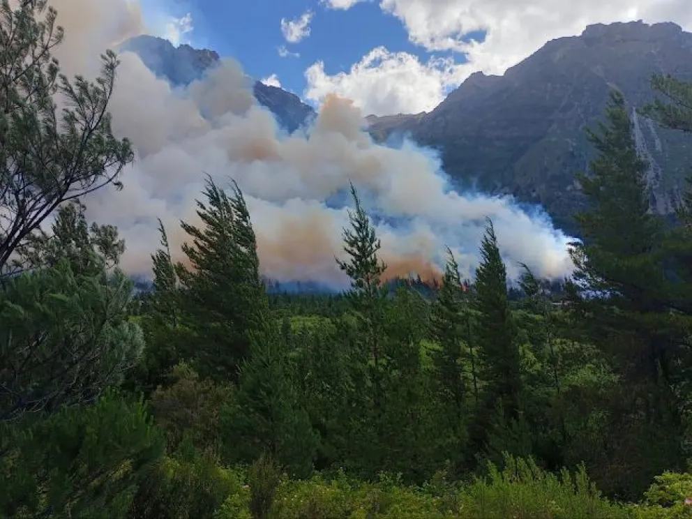 Foto: NoticiasdelBolson