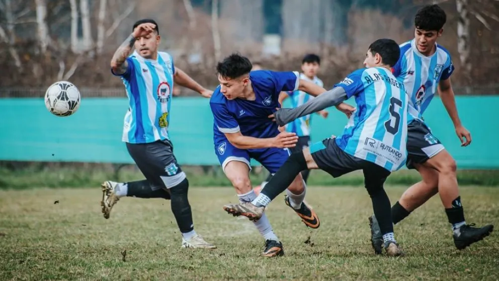 Torino ganó su quinto partido al hilo y está en Cuartos de final - Imagen de Julieta Distacio, prensa Club Torino